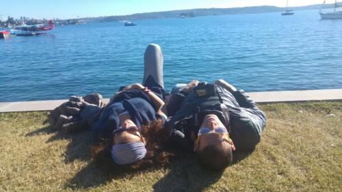 על החוף של רוז ביי בסידני